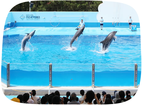 新潟市水族館マリンピア日本海